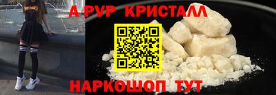 индика Нальчик