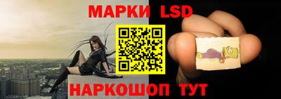 индика Нальчик
