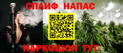 стаф Новодвинск
