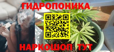индика Нальчик