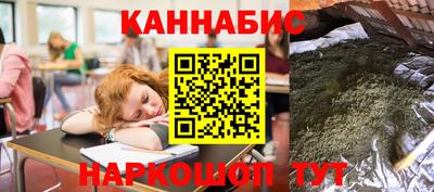 индика Нальчик