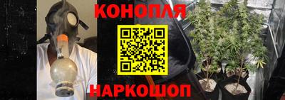 индика Нальчик