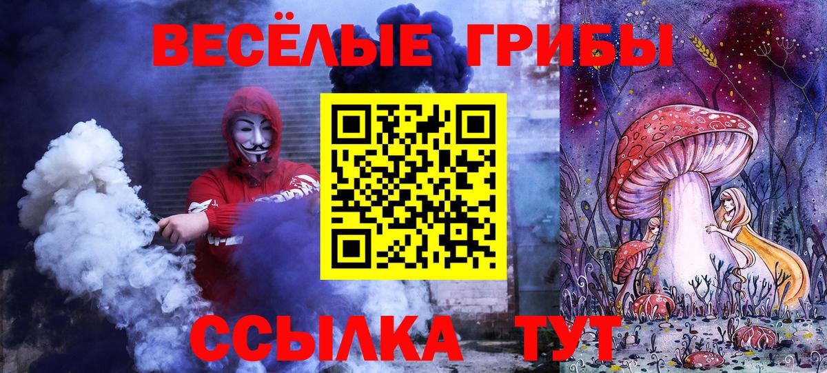 Галлюциногенные грибы Psilocybe  Вход с VPN  Углич 